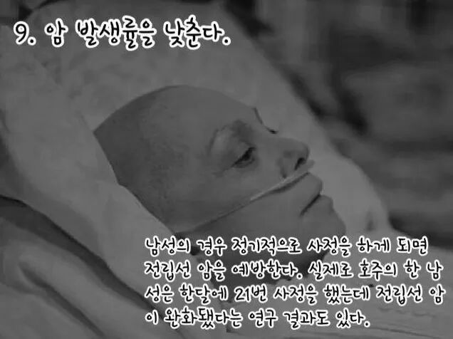 섹스를 매일해야하는 16가지 이유 | 인스티즈
