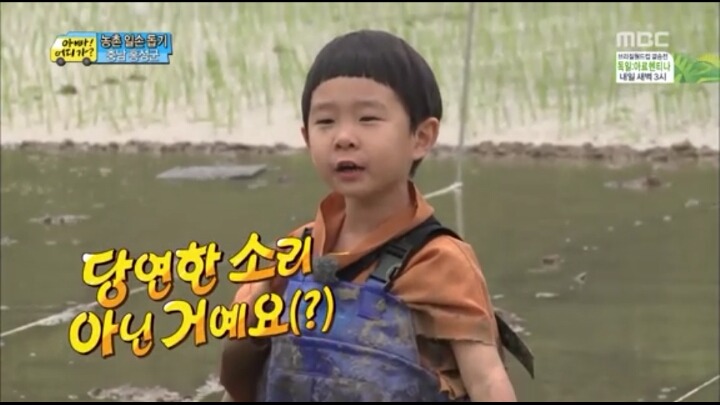 한때 짤방계의 대주주였던 아빠어디가 (사진많음주의) | 인스티즈