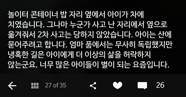 비가오나 눈이오나 길냥이 사진을 찍는 작가 | 인스티즈