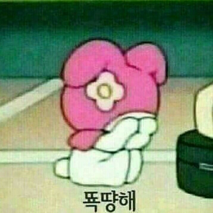 룰루밍 이미지