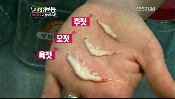 젓 크기 비교 | 인스티즈