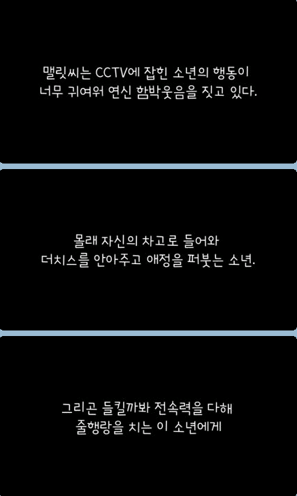 귀여운 무단침입자 | 인스티즈