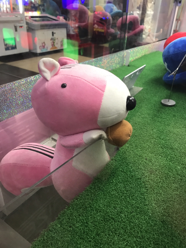 운좋은 인형들 | 인스티즈
