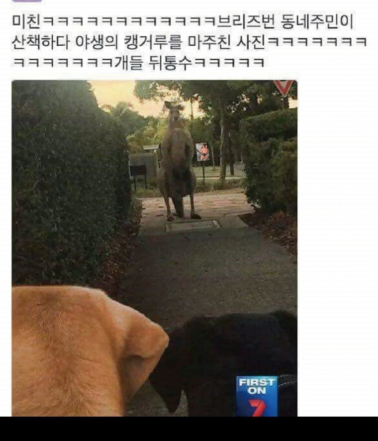 이게 대체 무슨 대화냐 | 인스티즈