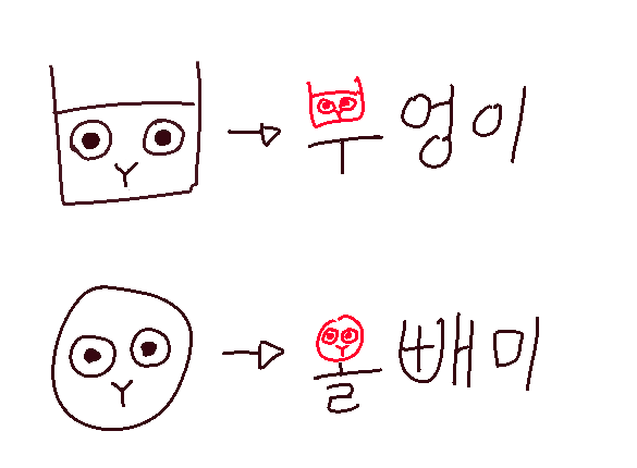 부엉이와 올빼미 구별하기 | 인스티즈