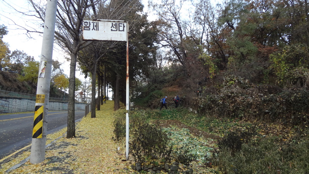 황제카센타 이미지
