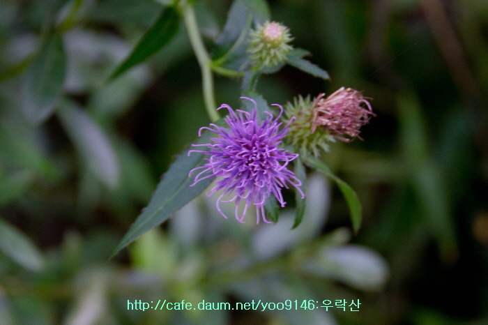 산호장여관 이미지