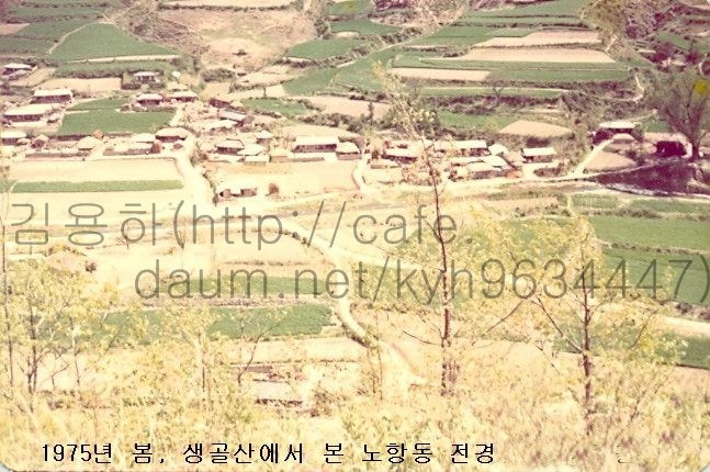 봄골 이미지