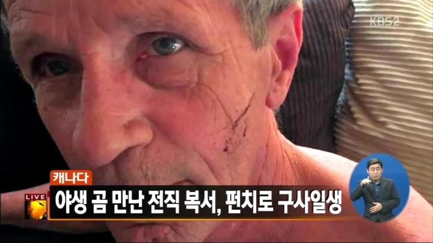 복서한테 함부로 개기면 안되는 이유.jpg | 인스티즈