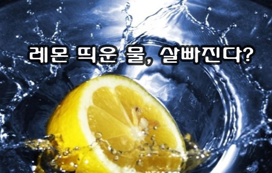 레몬 이미지