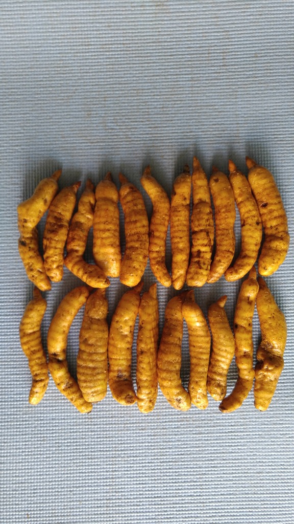 천마통신 이미지