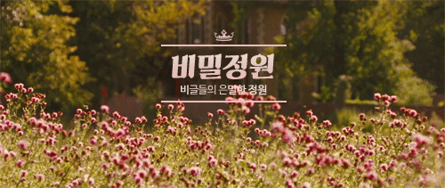 주인이 떠난 뒤 강아지 모습.jpg | 인스티즈