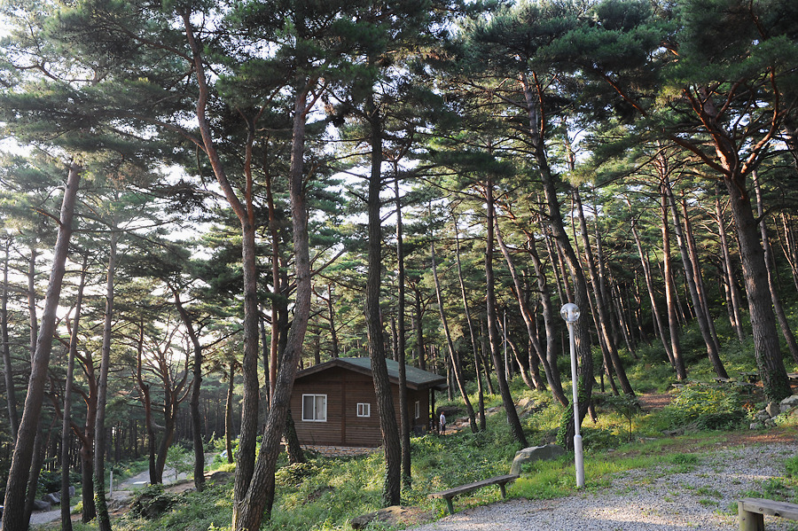 칠보산자연휴양림 이미지