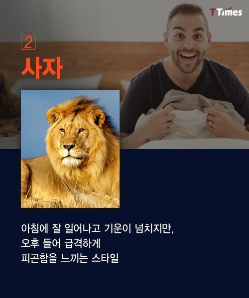 수면 패턴으로 알아보는 인간형 분류.jpg | 인스티즈