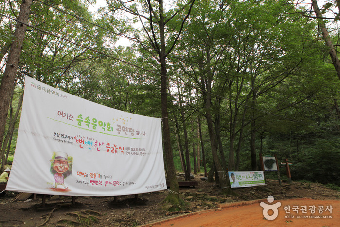 초아랑 대전 계족산 황톳길 가고 싶다 | 인스티즈