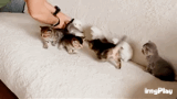 ??? : 야 사진 빨리 찍어.gif | 인스티즈