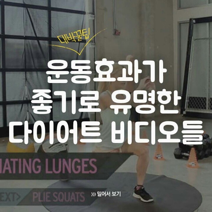 운동효과 좋기로 유명한 다이어트 비디오들 | 인스티즈