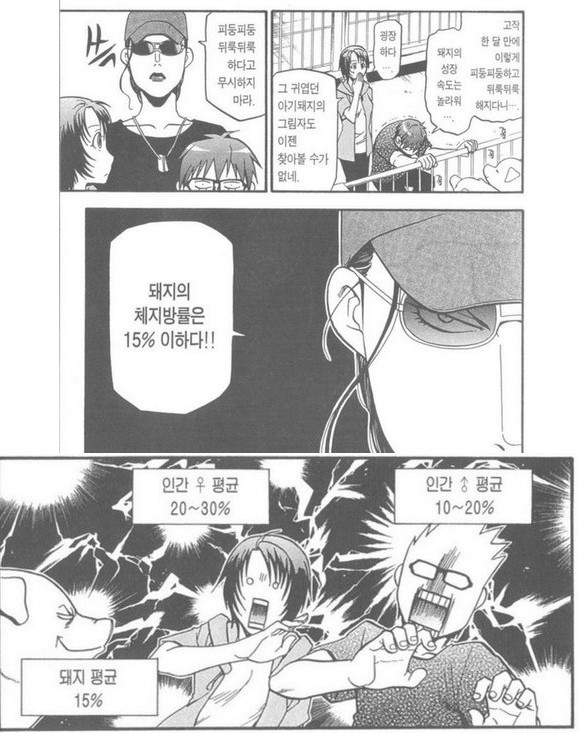 사실 돼지같다는 말은 칭찬입니다 | 인스티즈