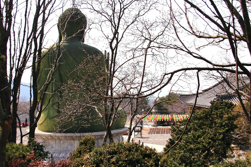 조화불교사 이미지