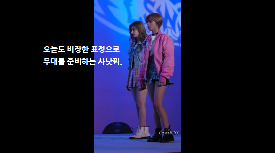 [트와이스] 공연때 은밀했던 사나 | 인스티즈