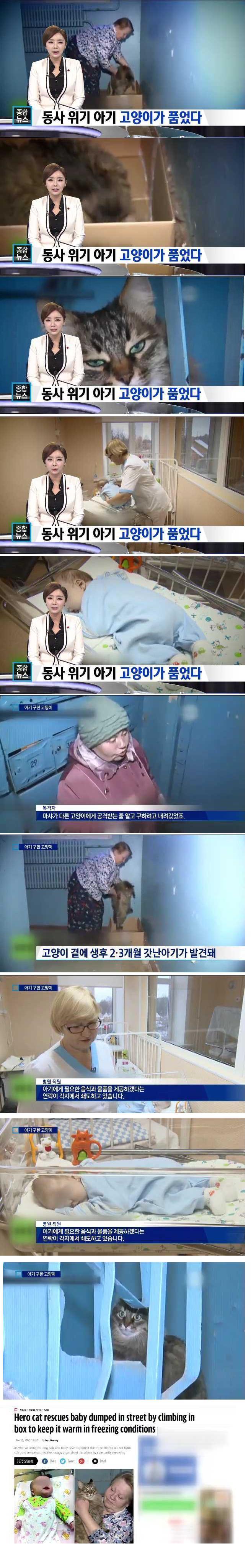 버려진 아기 살린 길고양이.jpg | 인스티즈