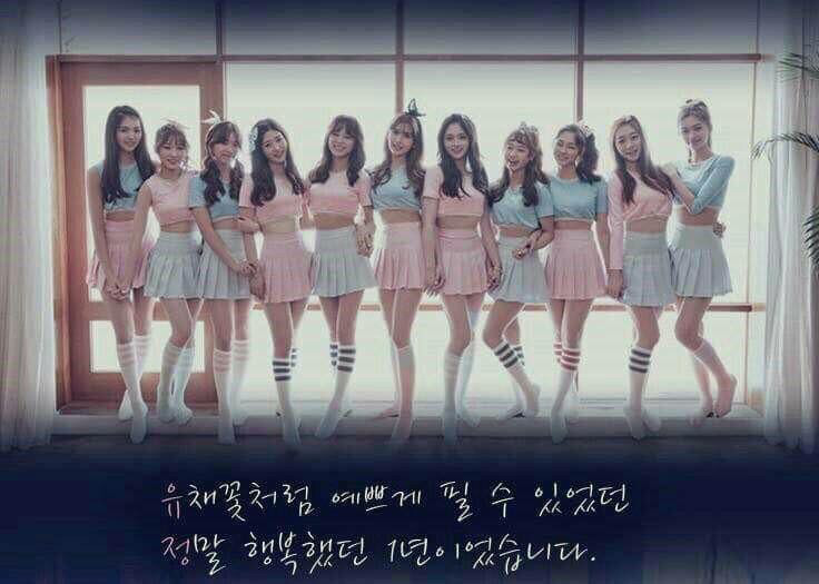 앙시 이미지