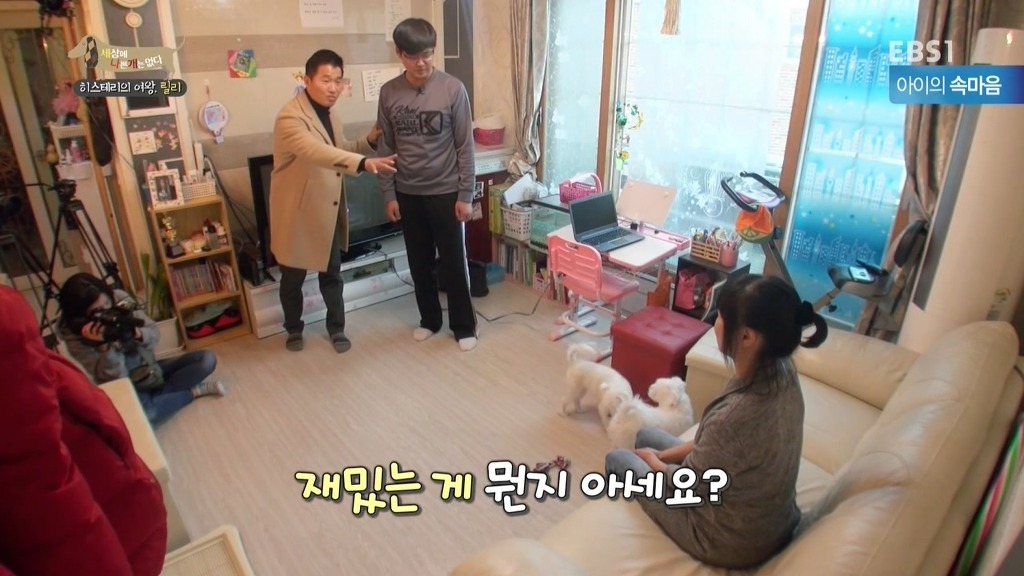 [세상에나쁜개는없다] 가족들에게 짖고 무는 강아지 릴리햏 | 인스티즈