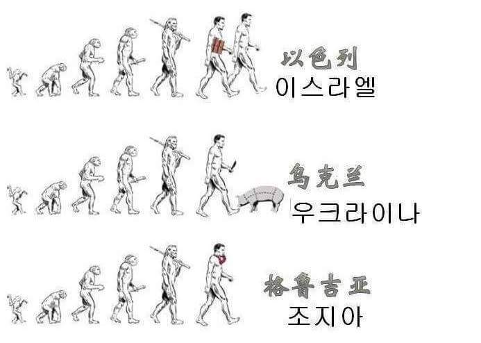 국가별 인류의 진화 | 인스티즈
