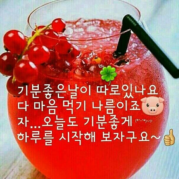 하얀풍차새 이미지