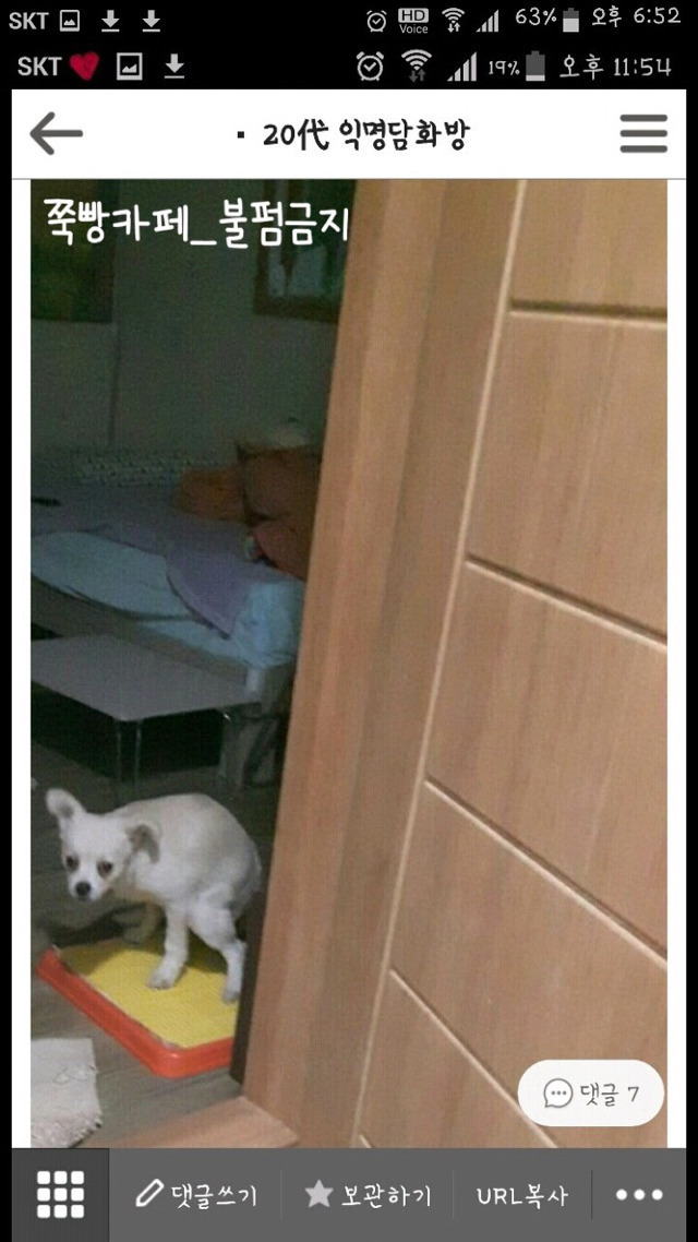 평화로운 익친이네 개들.jpg | 인스티즈