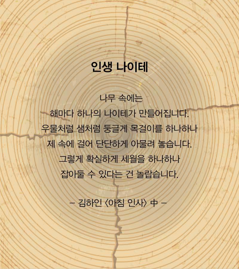 나이테 이미지