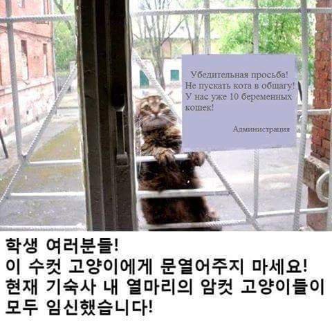 어느 여자기숙사의 공지 | 인스티즈