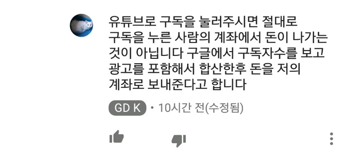 가정집 고양이공장같은 애니머호더 유튜버 봐줘라 | 인스티즈