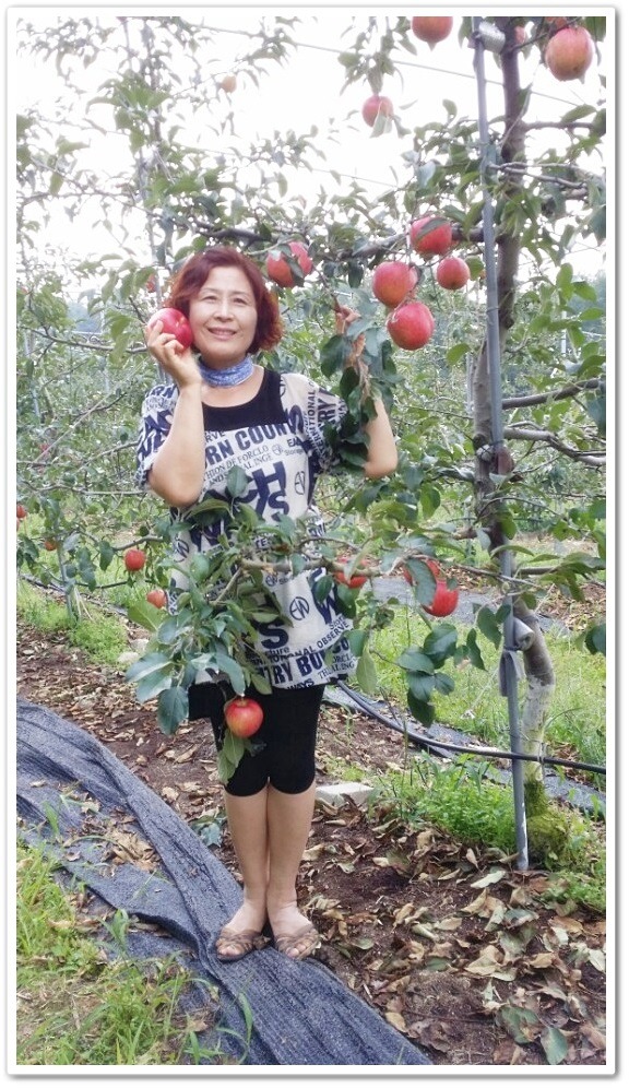오라버니 이미지