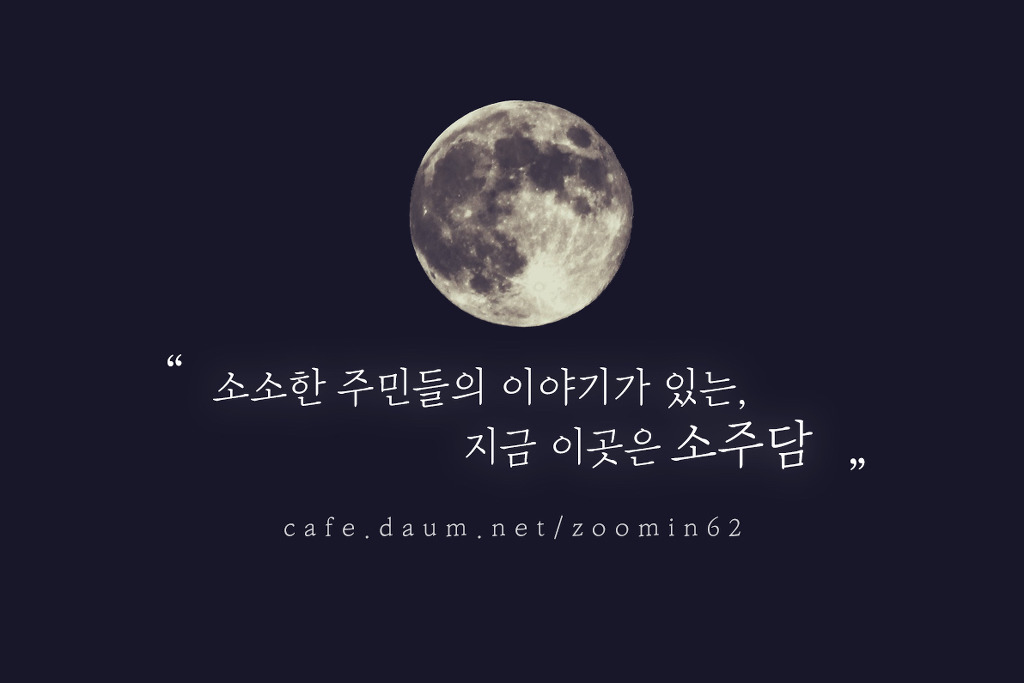 귀여운 동물 칭구칭구들 | 인스티즈