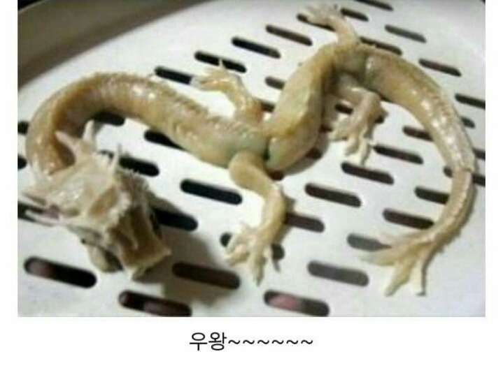 만두빚다 이미지