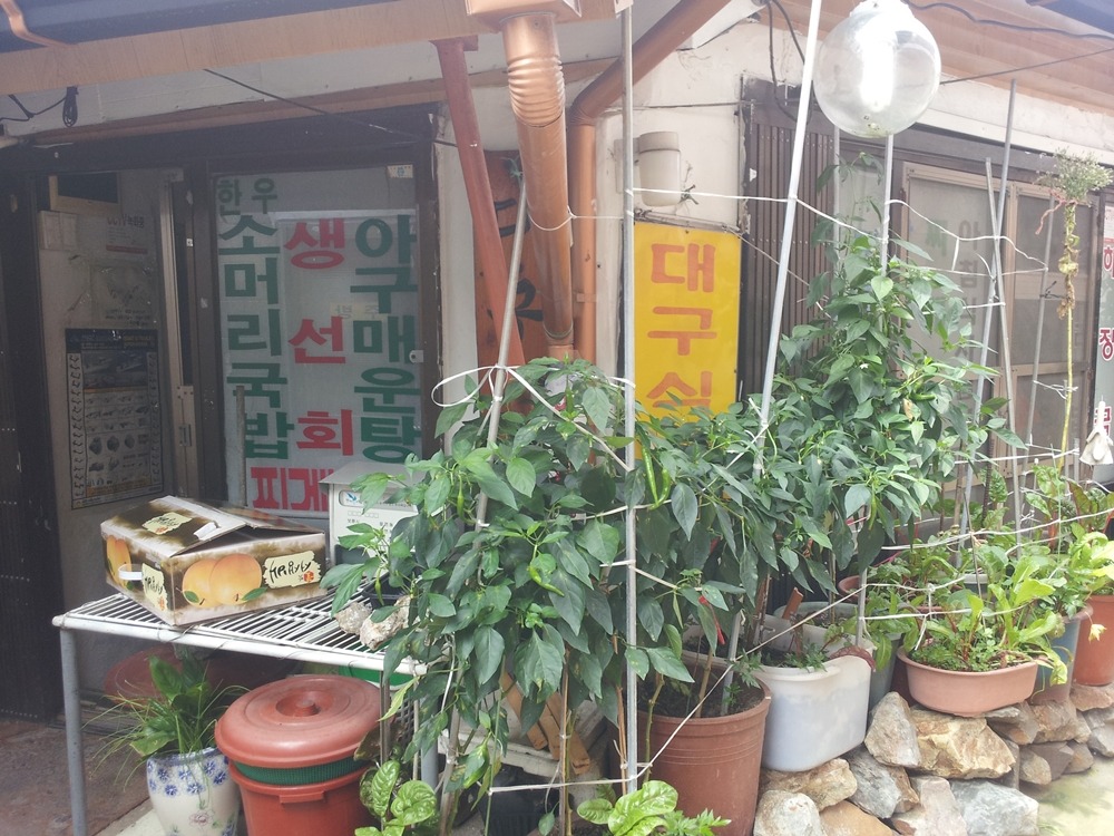대구식당 이미지