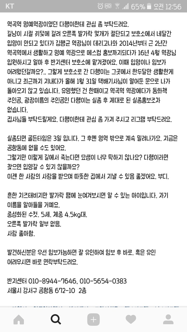 역곡역 명예 역장 이었던 고양이 다행이를 찾습니다! | 인스티즈