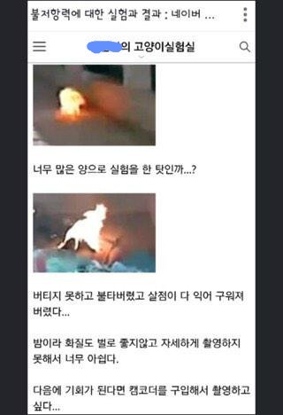 그깟 장난 좀 쳤다고 한사람 인생을 이렇게 벼랑끝까지 몰고가다니....(동물학대주의) | 인스티즈