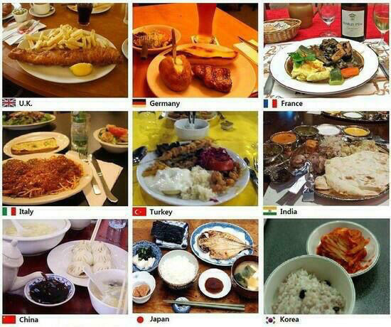 일본인이 올린 세계밥상을 보고 빡쳐서 한국인이 세계 밥상을 올림 | 인스티즈