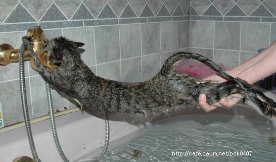 주인 나한테 왜구래 | 인스티즈