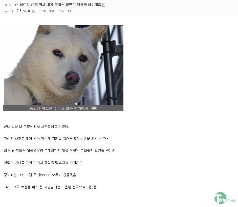 군대 가면 사람 바보 된다는 것을 똑똑히 보여주는 사례 | 인스티즈
