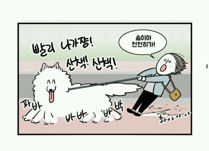 대형견 키우는 사람 공감 | 인스티즈