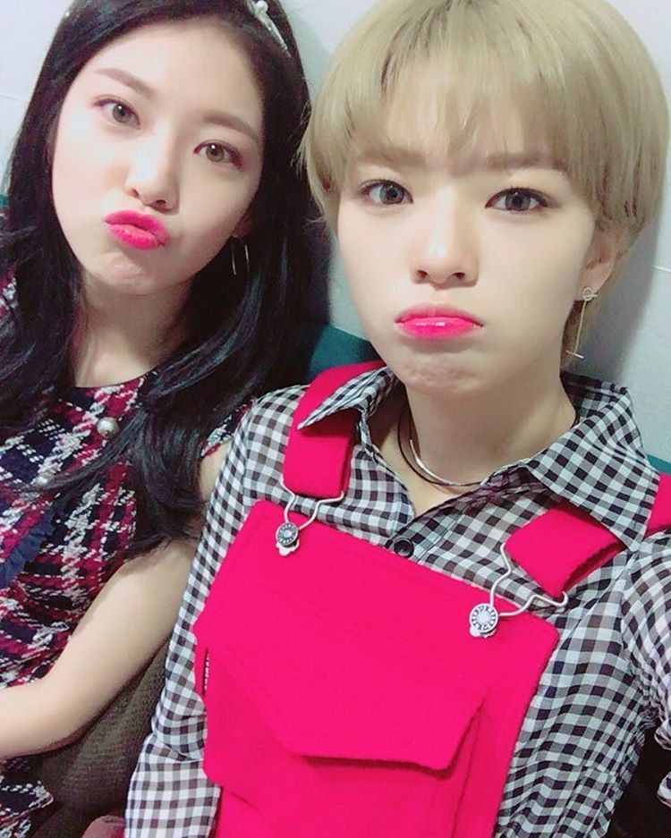 오늘자 공승연 인스타(feat.정연이) | 인스티즈