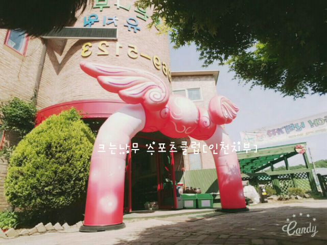 좋은나무유치원 이미지