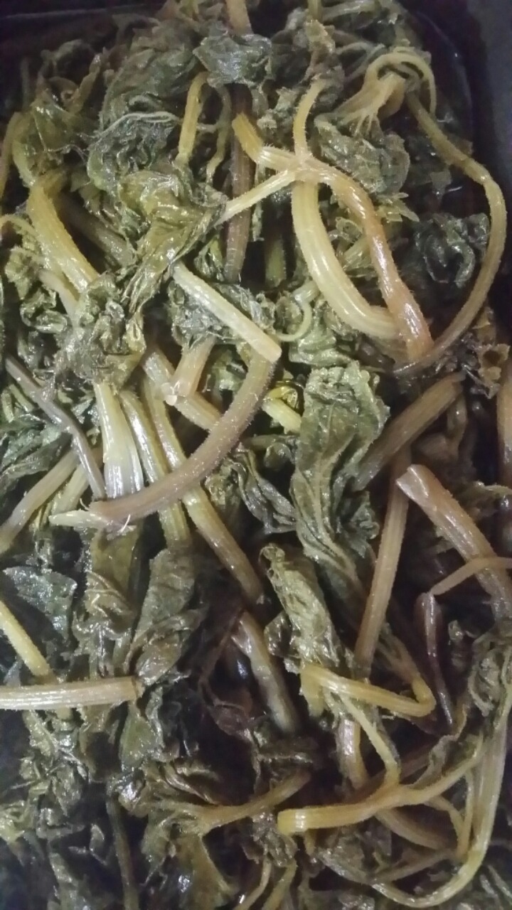 아취 이미지