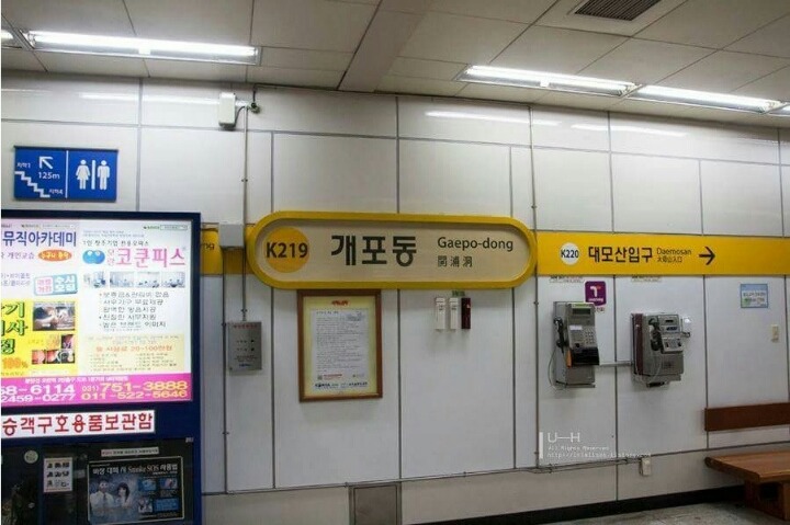 우리나라에서 제일 살 찐 동네 | 인스티즈