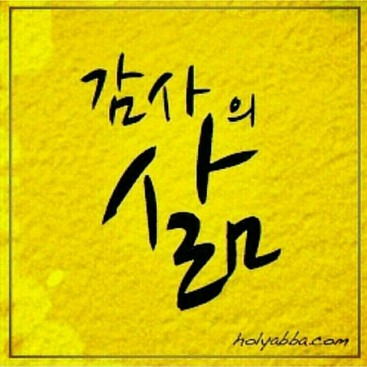 마로니 이미지
