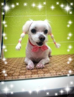 엔디 이미지