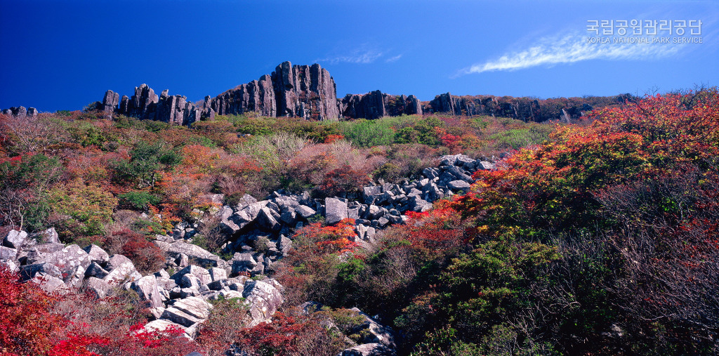 산 이미지